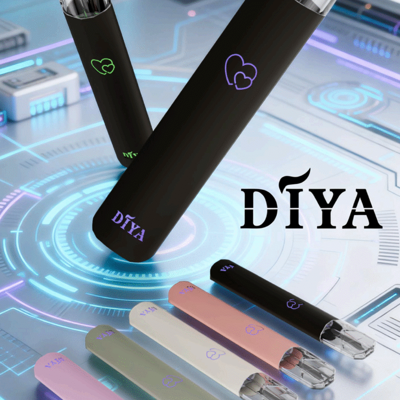 【DIYA叮啞主機】 🍭通用一代主機 ✨ 最具性價比 耐用 🔥 加購必選產品
